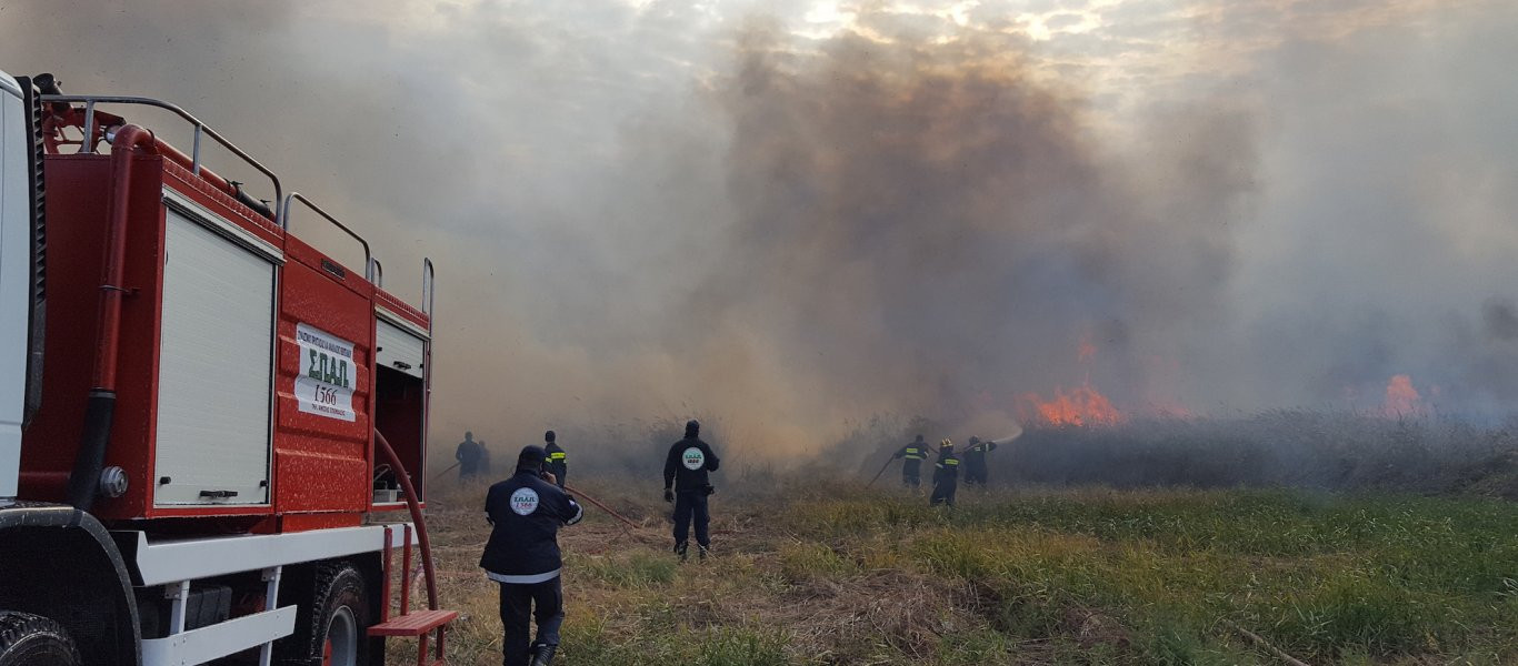 Ποιες περιοχές κινδυνεύουν από ξέσπασμα πυρκαγιών;